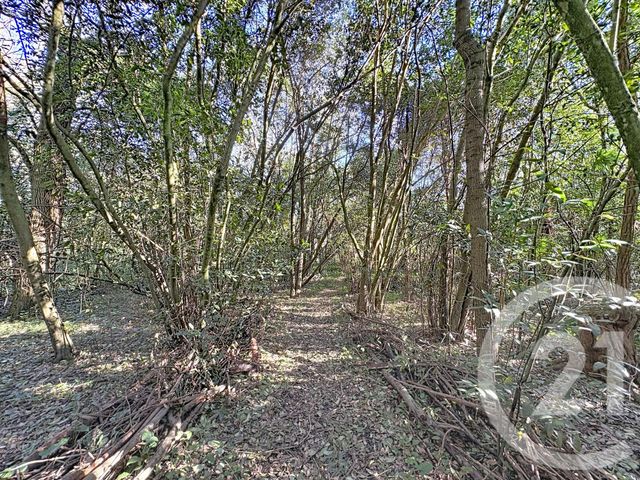 Appartement T5 à vendre - 5 pièces - 190.04 m2 - MURET - 31 - MIDI-PYRENEES - Century 21 S.D.I.