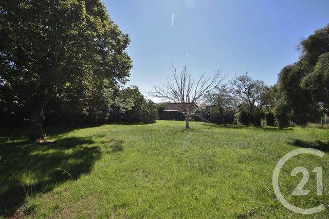 terrain à vendre - 932.0 m2 - MURET - 31 - MIDI-PYRENEES - Century 21 S.D.I.