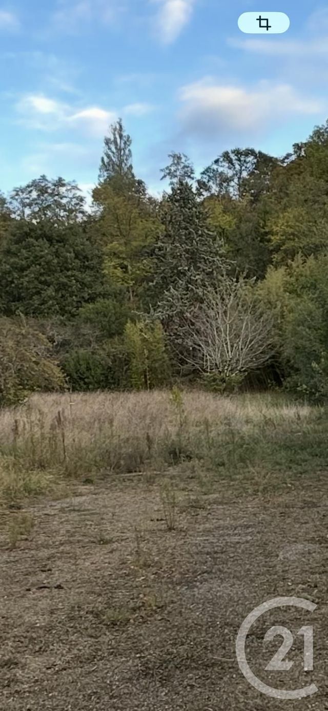 terrain à vendre - 1200.0 m2 - MURET - 31 - MIDI-PYRENEES - Century 21 S.D.I.